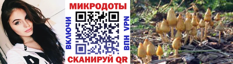 Купить  Самара  Псилоцибиновые грибы мицелий 